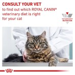 ROYAL CANIN VETERINARY DIET ADULT CAT RENAL FISH THIN SLICES IN GRAVY POUCH 12x85g