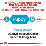 ROYAL CANIN FRENCH BULLDOG PUPPY DOG 3kg ROYAL CANIN FRENCH BULLDOG PUPPY DOG 3kg