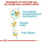 ROYAL CANIN FRENCH BULLDOG PUPPY DOG 3kg ROYAL CANIN FRENCH BULLDOG PUPPY DOG 3kg