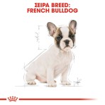 ROYAL CANIN FRENCH BULLDOG PUPPY DOG 3kg ROYAL CANIN FRENCH BULLDOG PUPPY DOG 3kg