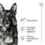 ROYAL CANIN HEALTH NUTRITION ADULT DOG MAXI 4kg