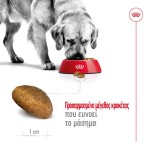 ROYAL CANIN HEALTH NUTRITION ADULT DOG MAXI 4kg