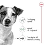 ROYAL CANIN AGEING DOG 12 PLUS MINI 1.5kg