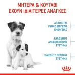 ROYAL CANIN STARTER MOTHER AND BABYDOG MINI 4kg