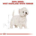 ROYAL CANIN WEST HIGHLAND WHITE TERRIER ADULT DOG 3kg