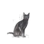 ROYAL CANIN ADULT CAT REGULAR STERILISED 400gr