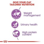 ROYAL CANIN ADULT CAT REGULAR STERILISED 400gr