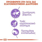 ROYAL CANIN ADULT CAT STERILISED THIN SLICES IN GRAVY POUCH 85gr