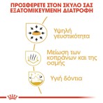 ROYAL CANIN CHIHUAHUA ADULT DOG 1.5kg