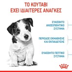 ROYAL CANIN PUPPY DOG MINI 2kg