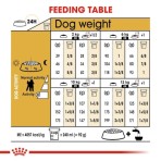 ROYAL CANINE POODLE ADULT DOG 1.5kg