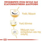 ROYAL CANIN SHIH TZU ADULT DOG 1.5kg ROYAL CANIN SHIH TZU ADULT DOG 1.5kg