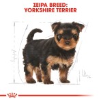 ROYAL CANIN YORKSHIRE TERRIER PUPPY DOG 1.5kg