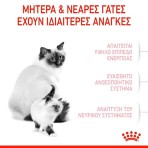 ROYAL CANIN MOTHER AND BABYCAT 2kg ROYAL CANIN MOTHER AND BABYCAT 2kg