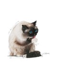 ROYAL CANIN HAIRBALL CARE ADULT CAT 2kg