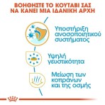 ROYAL CANIN CHIHUAHUA PUPPY DOG 1.5kg