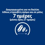 HILL'S PRESCRIPTION C/D MULTICARE URINARY CARE CHICKEN ADULT CAT 156gr HILL'S PRESCRIPTION C/D MULTICARE URINARY CARE CHICKEN ADULT CAT 156gr