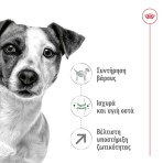 ROYAL CANIN ADULT DOG 8 PLUS MINI 2kg