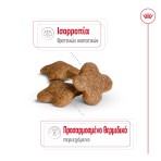 ROYAL CANIN ADULT DOG 8 PLUS MINI 2kg