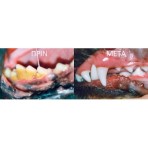 PLAQUE OFF ΣΚΟΝΗ ΚΑΤΑ ΤΗΣ ΠΕΤΡΑΣ ΚΑΙ ΠΛΑΚΑΣ ΓΙΑ ΣΚΥΛΟΥΣ 60gr PLAQUE OFF ΣΚΟΝΗ ΚΑΤΑ ΤΗΣ ΠΕΤΡΑΣ ΚΑΙ ΠΛΑΚΑΣ ΓΙΑ ΣΚΥΛΟΥΣ 60gr