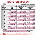 ROYAL CANIN VETERINARY DIET RENAL ADULT CAT 2kg ROYAL CANIN VETERINARY DIET RENAL ADULT CAT 2kg