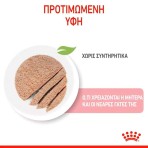 ROYAL CANIN MOTHER AND BABY ULTRA SOFT MOUSSE CAN 195gr