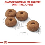 ROYAL CANIN STERILISED MEDIUM ADULT DOG 3kg ROYAL CANIN STERILISED MEDIUM ADULT DOG 3kg