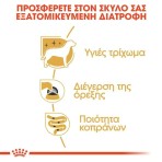 ROYAL CANIN YORKSHIRE TERRIER ADULT DOG PATE POUCH 85gr