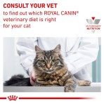 ROYAL CANIN VETERINARY DIET URINARY S/O ADULT CAT 7kg ROYAL CANIN VETERINARY DIET URINARY S/O ADULT CAT 7kg