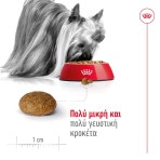 ROYAL CANIN ADULT DOG XSMALL 8 PLUS 1.5kg
