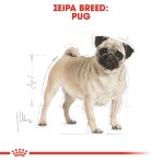 ROYAL CANIN PUG ADULT DOG 3kg