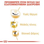 ROYAL CANIN PUG ADULT DOG 3kg