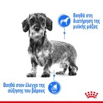 ROYAL CANIN LIGHT WEIGHT CARE MINI ADULT DOG 3kg