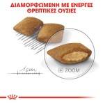 ROYAL CANIN EXIGENT ADULT MINI DOG 1kg