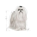 ROYAL CANIN MALTESE ADULT DOG 1.5kg