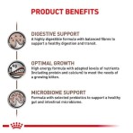 ROYAL CANIN VETERINARY DIET GASTROINTESTINAL KITTEN SOFT MOUSSE CAN 195gr ROYAL CANIN VETERINARY DIET GASTROINTESTINAL KITTEN SOFT MOUSSE CAN 195gr