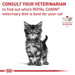 ROYAL CANIN VETERINARY DIET GASTROINTESTINAL KITTEN SOFT MOUSSE CAN 195gr ROYAL CANIN VETERINARY DIET GASTROINTESTINAL KITTEN SOFT MOUSSE CAN 195gr