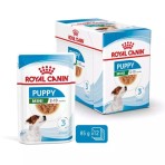ROYAL CANIN PUPPY DOG MINI CHUNKS IN GRAVY POUCH 85gr