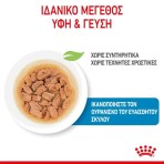 ROYAL CANIN PUPPY DOG MINI CHUNKS IN GRAVY POUCH 85gr