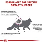 ROYAL CANIN VETERINARY DIET RENAL ADULT CAT 400gr