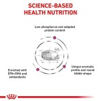 ROYAL CANIN VETERINARY DIET RENAL ADULT CAT 400gr