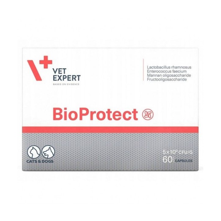 VETEXPERT BIOPROTECT 60 ΚΑΨΟΥΛΕΣ ΚΑΤΑ ΤΗΣ ΔΙΑΡΡΟΙΑΣ ΓΙΑ ΣΚΥΛΟΥΣ ΚΑΙ ΓΑΤΕΣ