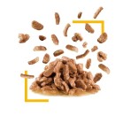 ROYAL CANIN SENSORY TASTE ADULT CAT CHUNKS IN GRAVY POUCH 85gr