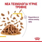 ROYAL CANIN SENSORY TASTE ADULT CAT CHUNKS IN GRAVY POUCH 85gr