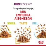 ROYAL CANIN SENSORY TASTE ADULT CAT CHUNKS IN GRAVY POUCH 85gr