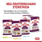 ROYAL CANIN SENSORY TASTE ADULT CAT CHUNKS IN GRAVY POUCH 85gr