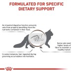 ROYAL CANIN VETERINARY DIET GASTROINTESTINAL HAIRBALL ADULT CAT 2kg