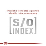 ROYAL CANIN VETERINARY DIET GASTROINTESTINAL HAIRBALL ADULT CAT 2kg