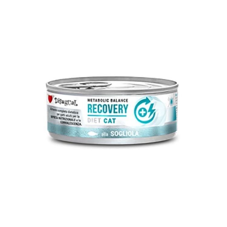 DISUGUAL DIET ADULT CAT RECOVERY WET FOOD ΣΟΛΟΜΟΣ 85gr DISUGUAL DIET ADULT CAT RECOVERY WET FOOD ΣΟΛΟΜΟΣ 85gr