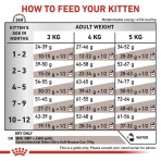 ROYAL CANIN VETERINARY DIET GASTROINTESTINAL KITTEN CAT 400gr